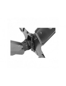 stell-sho-3620