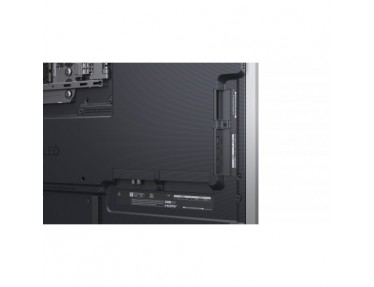 lg-oled55g54