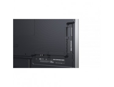lg-oled55g56