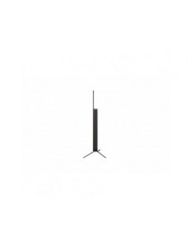 lg-oled55b56